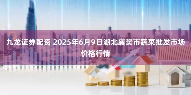 九龙证券配资 2025年6月9日湖北襄樊市蔬菜批发市场价格行情