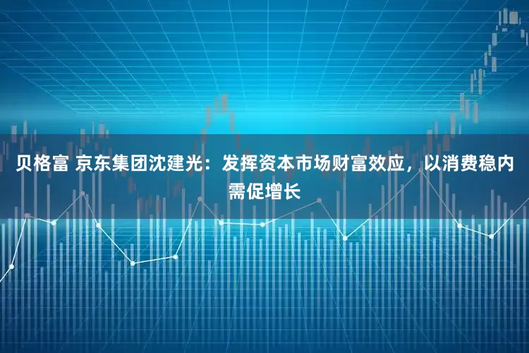 贝格富 京东集团沈建光：发挥资本市场财富效应，以消费稳内需促增长