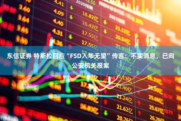 东信证券 特斯拉回应“FSD入华无望”传言：不实消息，已向公安机关报案
